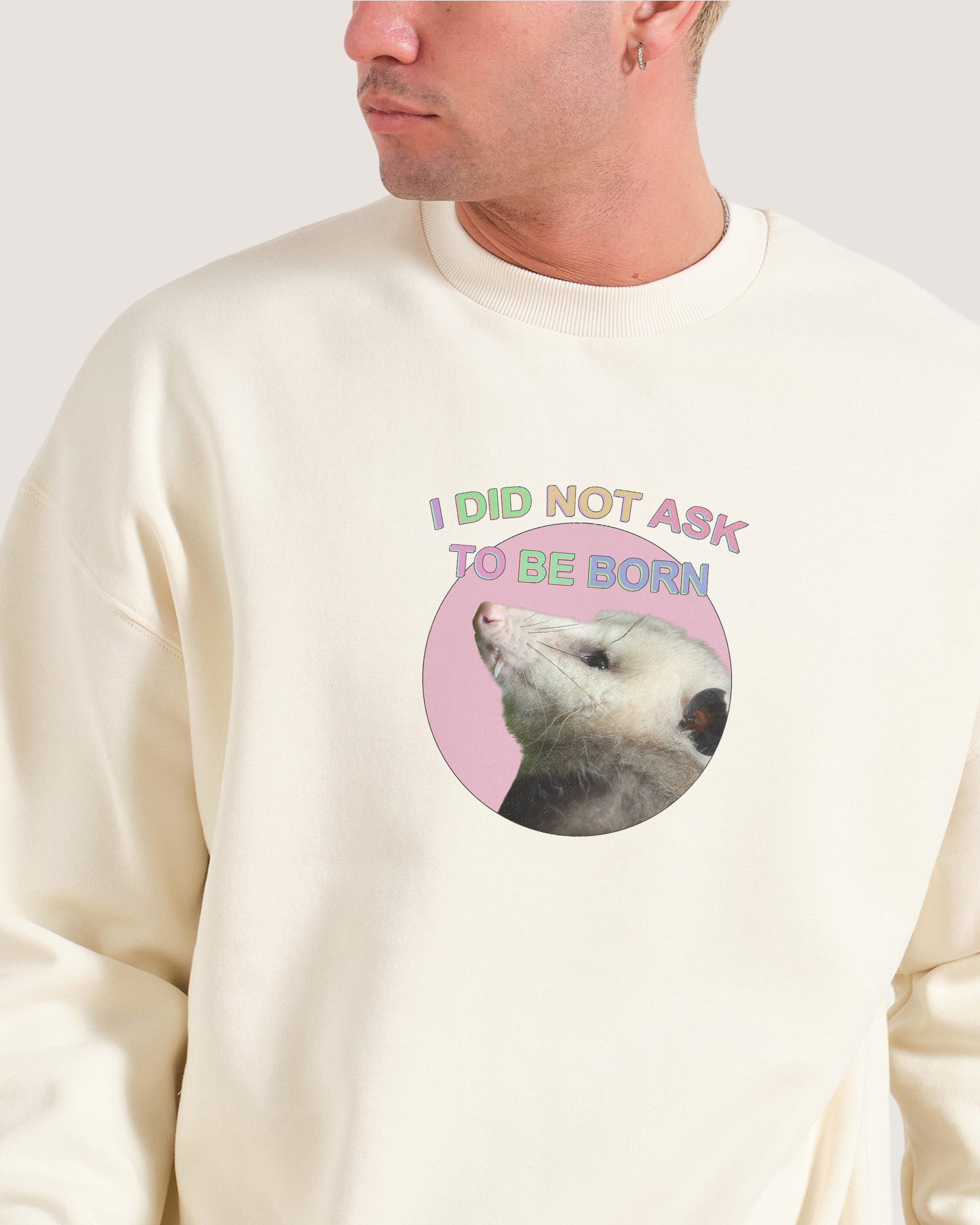 I Did Not Ask Sweatshirt